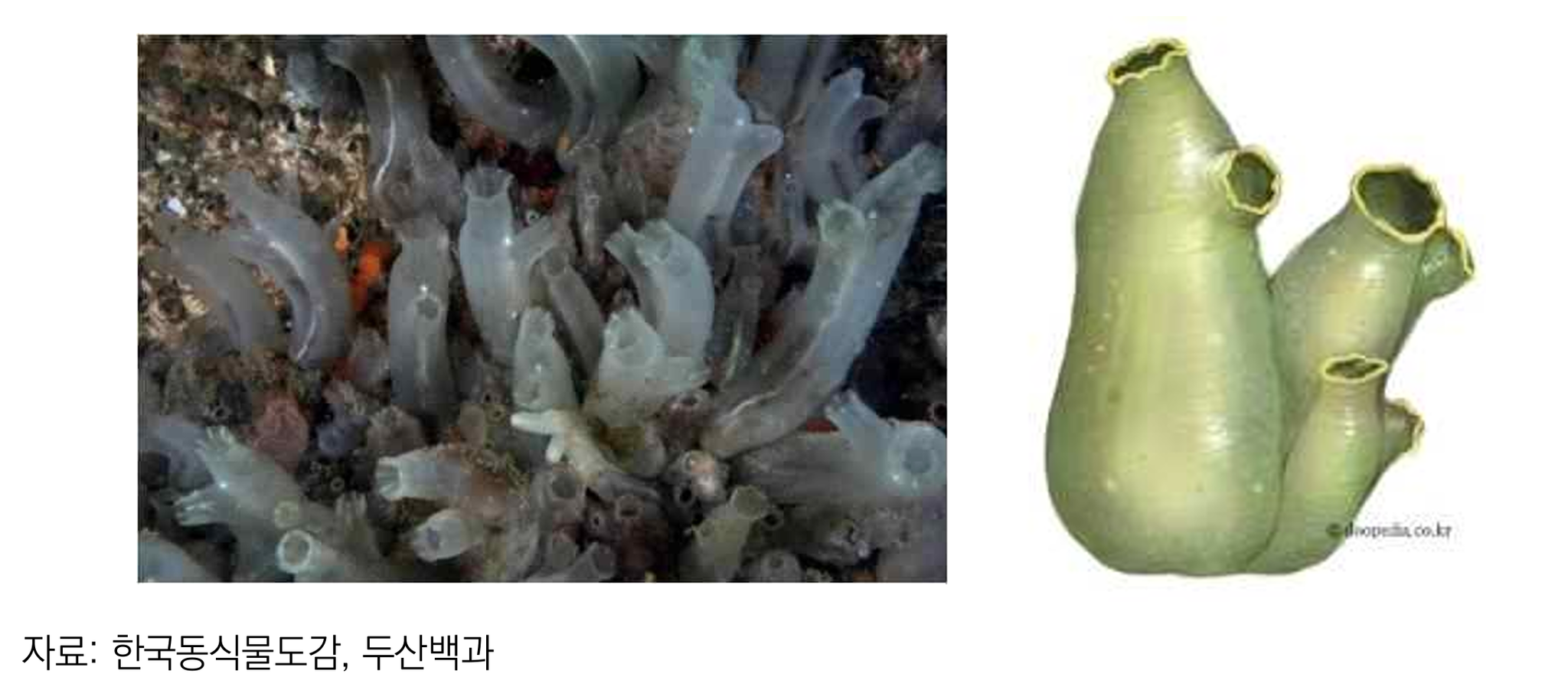 그림 4-11