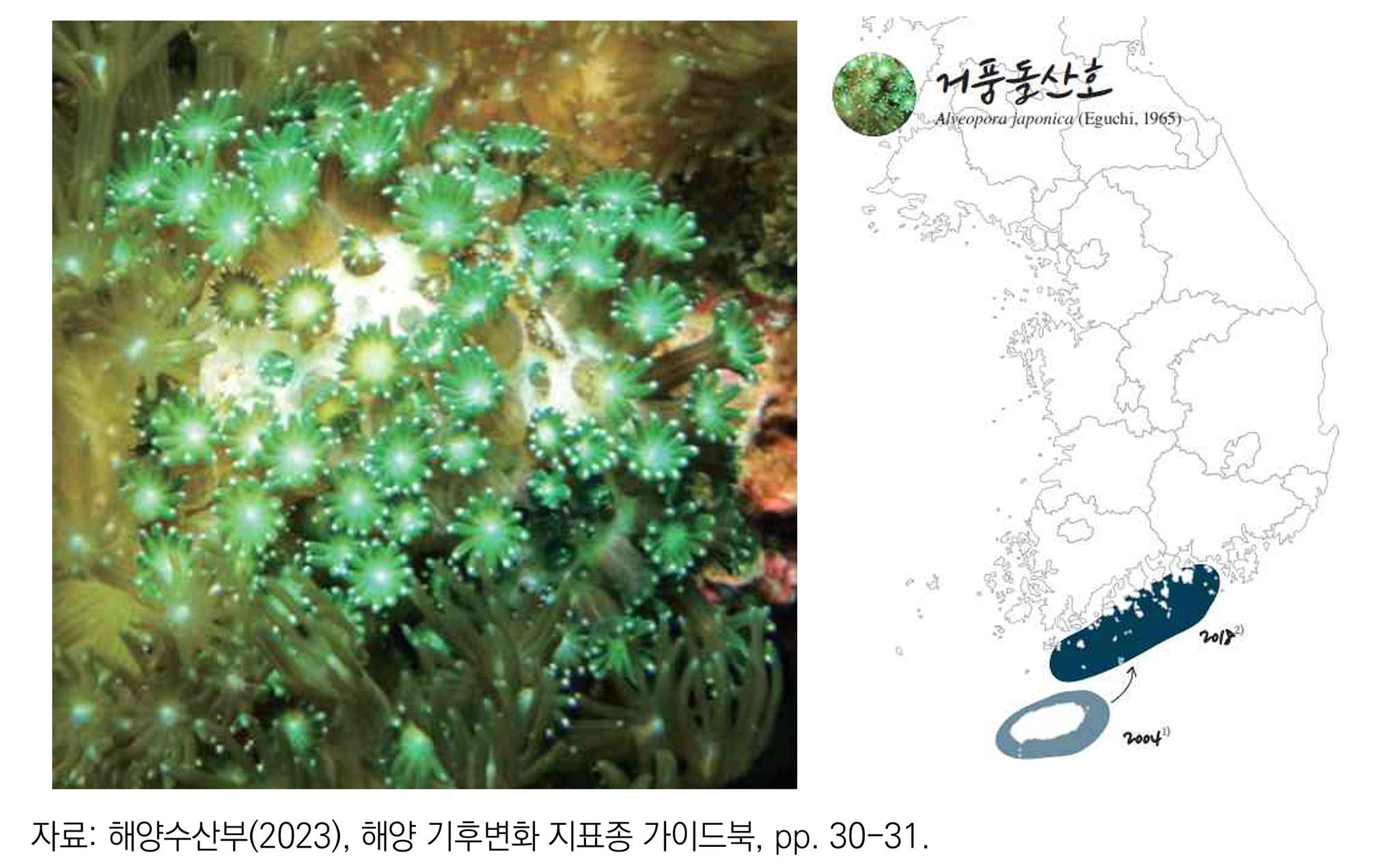 그림 4-9